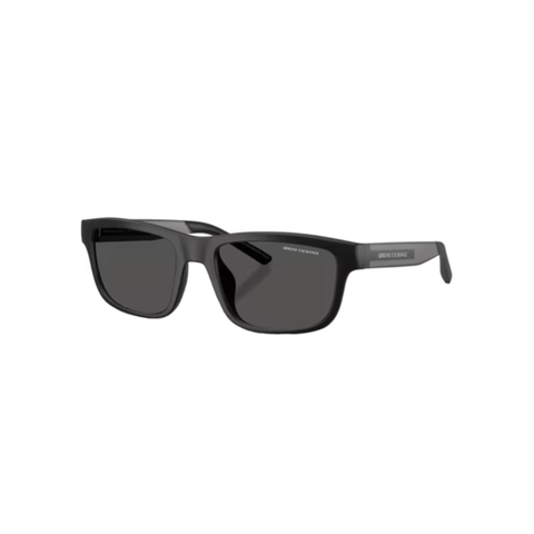 KÍNH MÁT NAM ARMANI EXCHANGE 0AX4169SU 50018755