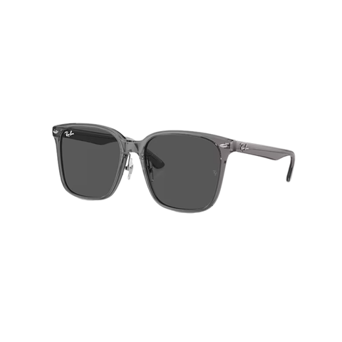 KÍNH MÁT UNISEX RAYBAN 0RB2206D 13998757