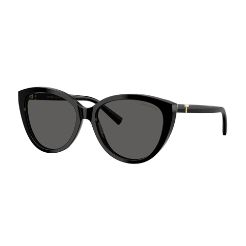 KÍNH MÁT NỮ TIFFANY & CO. 0TF4251F 8001S456