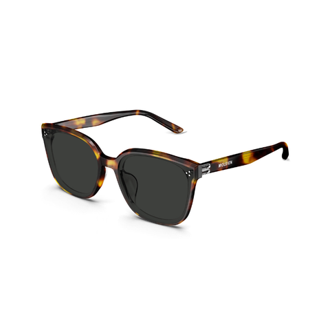 KÍNH MÁT UNISEX MOLSION MS3131 C20