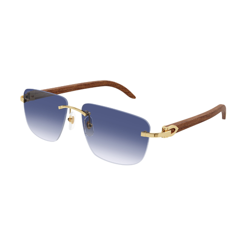KÍNH MÁT NAM CARTIER CT0040RS 001