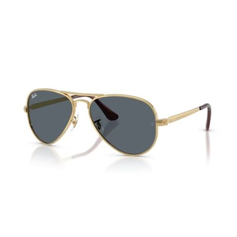 KÍNH MÁT UNISEX RAYBAN 0RB3925 001/R558