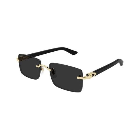 KÍNH MÁT NAM CARTIER CT0579S 001
