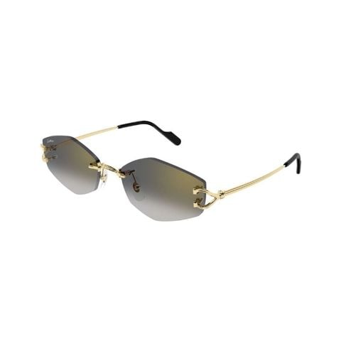 KÍNH MÁT UNISEX CARTIER CT0620S 001