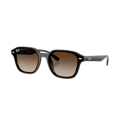 KÍNH MÁT UNISEX RAYBAN 0RB4458D 7141365