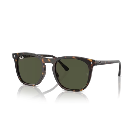 KÍNH MÁT UNISEX RAYBAN 0RB2210F 902/3153