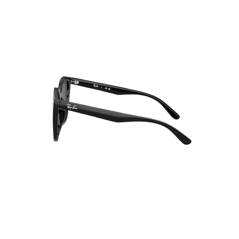 KÍNH MÁT UNISEX RAYBAN 0RB4423D 601/8766