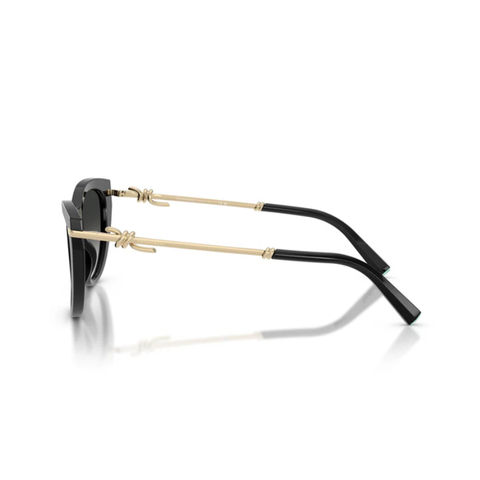 KÍNH MÁT NỮ TIFFANY & CO. 0TF4253F 80013C55