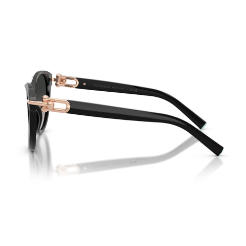 KÍNH MÁT NỮ TIFFANY & CO. 0TF4261F 80013C56