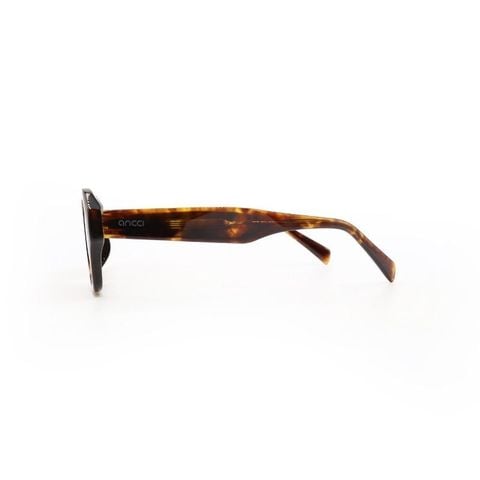 KÍNH MÁT UNISEX ANCCI AC62418 C2