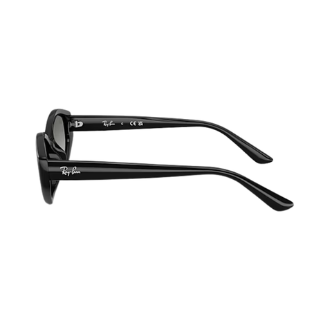 KÍNH MÁT UNISEX RAYBAN 0RB4473D 66771156