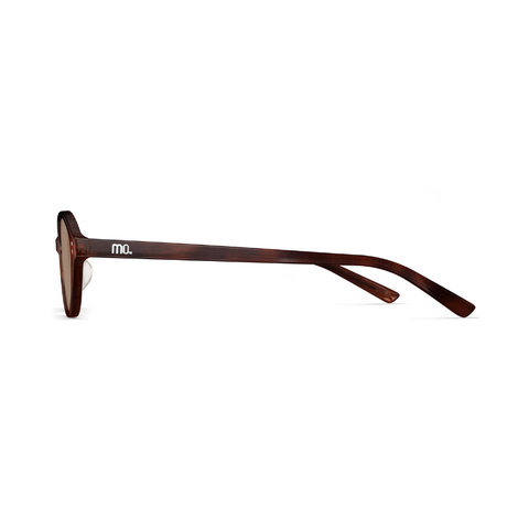 KÍNH MÁT UNISEX MOLSION MM3016 A26