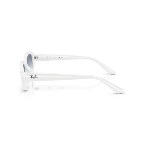 KÍNH MÁT UNISEX RAYBAN 0RB4473D 67721956