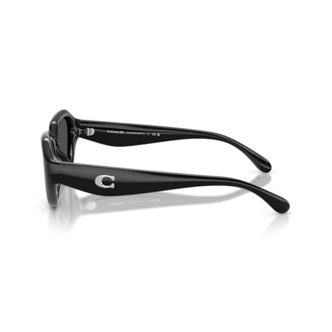 KÍNH MÁT NỮ COACH 0HC8433U 50028752