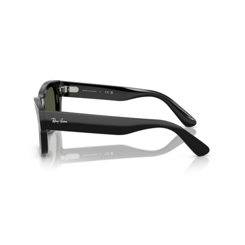 KÍNH MÁT UNISEX RAYBAN 0RB7683S 901/3155
