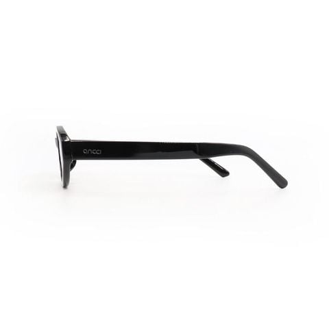 KÍNH MÁT UNISEX ANCCI AC62421 C1