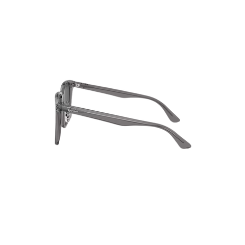 KÍNH MÁT UNISEX RAYBAN 0RB2206D 13998757