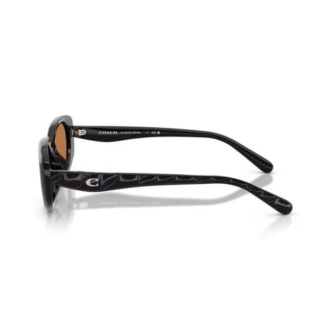 KÍNH MÁT NỮ COACH 0HC8443D 50027354