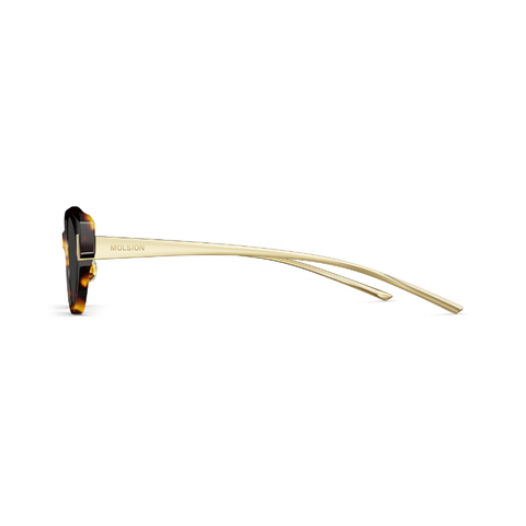 KÍNH MÁT UNISEX MOLSION MS3155 A26