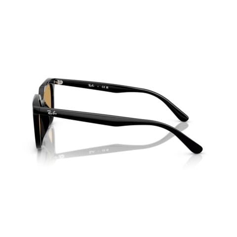 KÍNH MÁT UNISEX RAYBAN 0RB4439D 901/7354