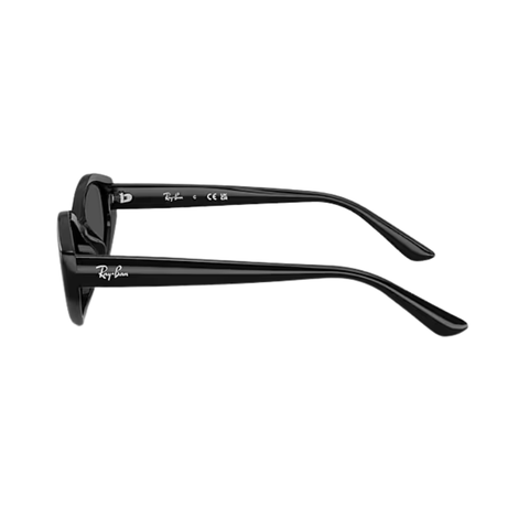 KÍNH MÁT UNISEX RAYBAN 0RB4473D 66778756