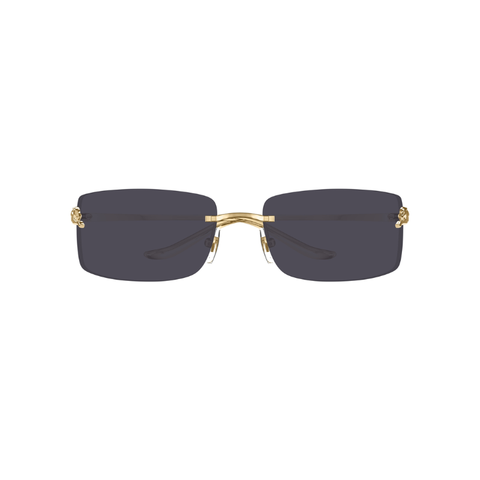 KÍNH MÁT UNISEX CARTIER CT0503S 001