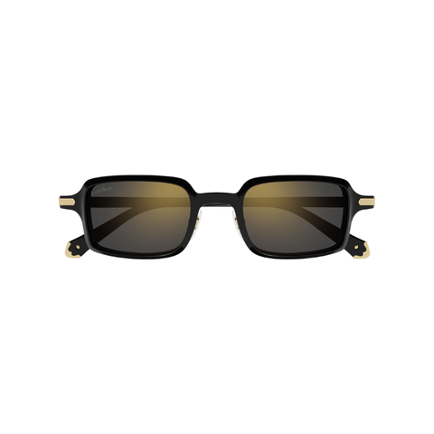 KÍNH MÁT UNISEX CARTIER CT0539S 001