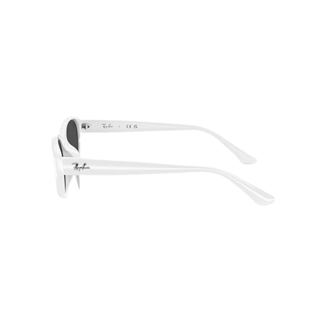 KÍNH MÁT UNISEX RAYBAN 0RB4457D 67728755
