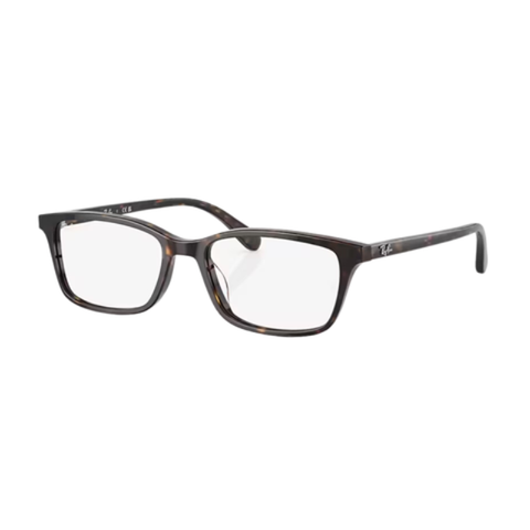 Gọng Kính Unisex RAYBAN 0RX5416D_201253.C