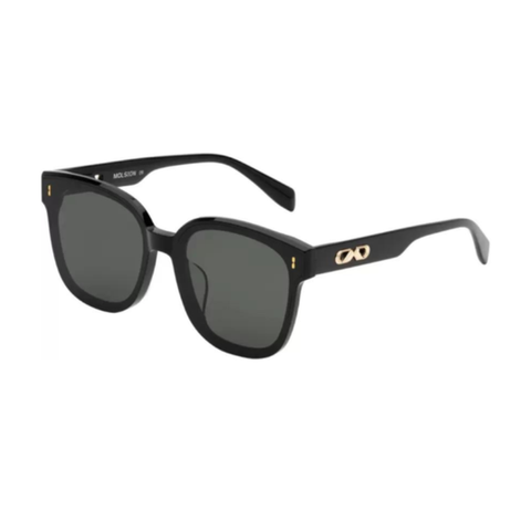 Kính mát Unisex MOLSION MS3027 A10