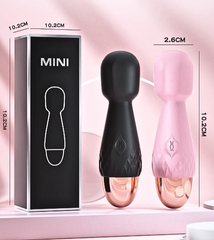 Chày rung mini cầm tay 10 tần số rung pin sạc