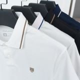  Áo polo trơn bo kẻ HSTP904 