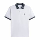  Áo polo trơn bo kẻ HSTP903 