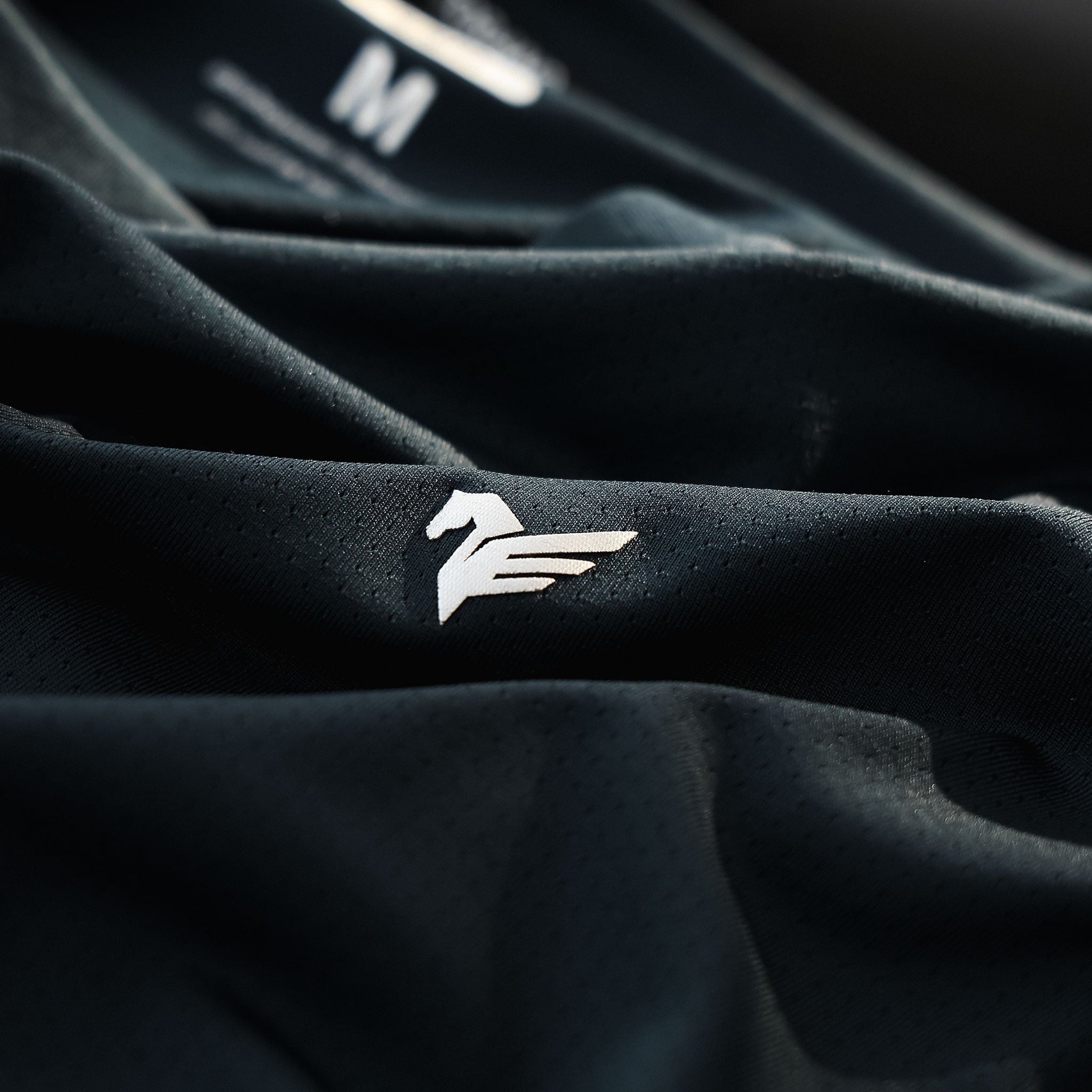  Áo T shirt trơn in thể thao GSTS018 