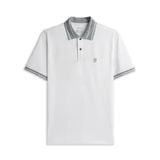  Áo polo trơn bo kẻ HSTP903 