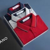  Áo polo trơn bo kẻ in logo Torano ngực GSTP845 