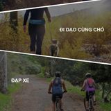  Đai Chạy Bộ Thể Thao Aonijie W8112 