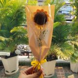  Nhánh hoa hướng dương bằng len 