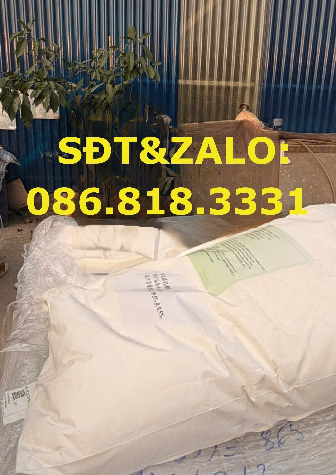  Casein - Đạm sữa - Casein protein 99,5% 