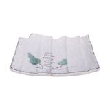  Blanche - Plate 26 x 25cm - Dĩa 26 x 25cm phun vẽ lá (Leaf Dance collection) 