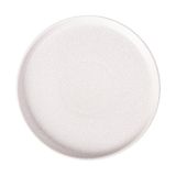  Blanche - Round Flat Plate (stackable) 21.5 x 2cm - Dĩa tròn vành đứng 21.5 x 2cm lộc phát không vệt 