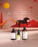 Dầu Xả Cân Bằng & Tinh Chất Dưỡng Da Đầu Ban Đêm