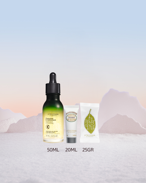  Tinh Chất Dưỡng Da Đầu Ban Đêm 