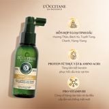  Tinh Chất Dưỡng Da Đầu Cho Tóc Dày Và Chắc Khỏe L'Occitane 5 Essential Oils Volume & Strength Scalp Serum 100ml 