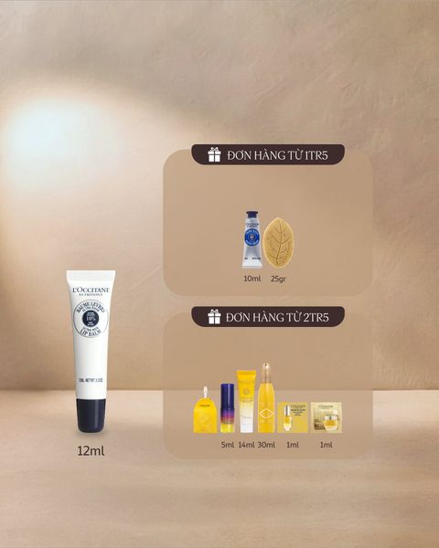  Son Dưỡng Môi Bơ Đậu Mỡ 