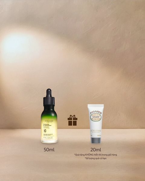 Tinh Chất Dưỡng Da Đầu Ban Đêm