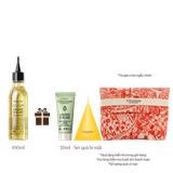 [Phiên Bản Mới] Refill Dầu Dưỡng Thể Hạnh Nhân