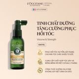 Tinh Chất Dưỡng Da Đầu Cho Tóc Dày Và Chắc Khỏe L'Occitane 5 Essential Oils Volume & Strength Scalp Serum 100ml 