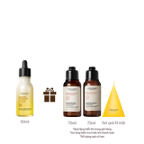 Tinh Chất Dưỡng Da Đầu Cúc Trường Sinh