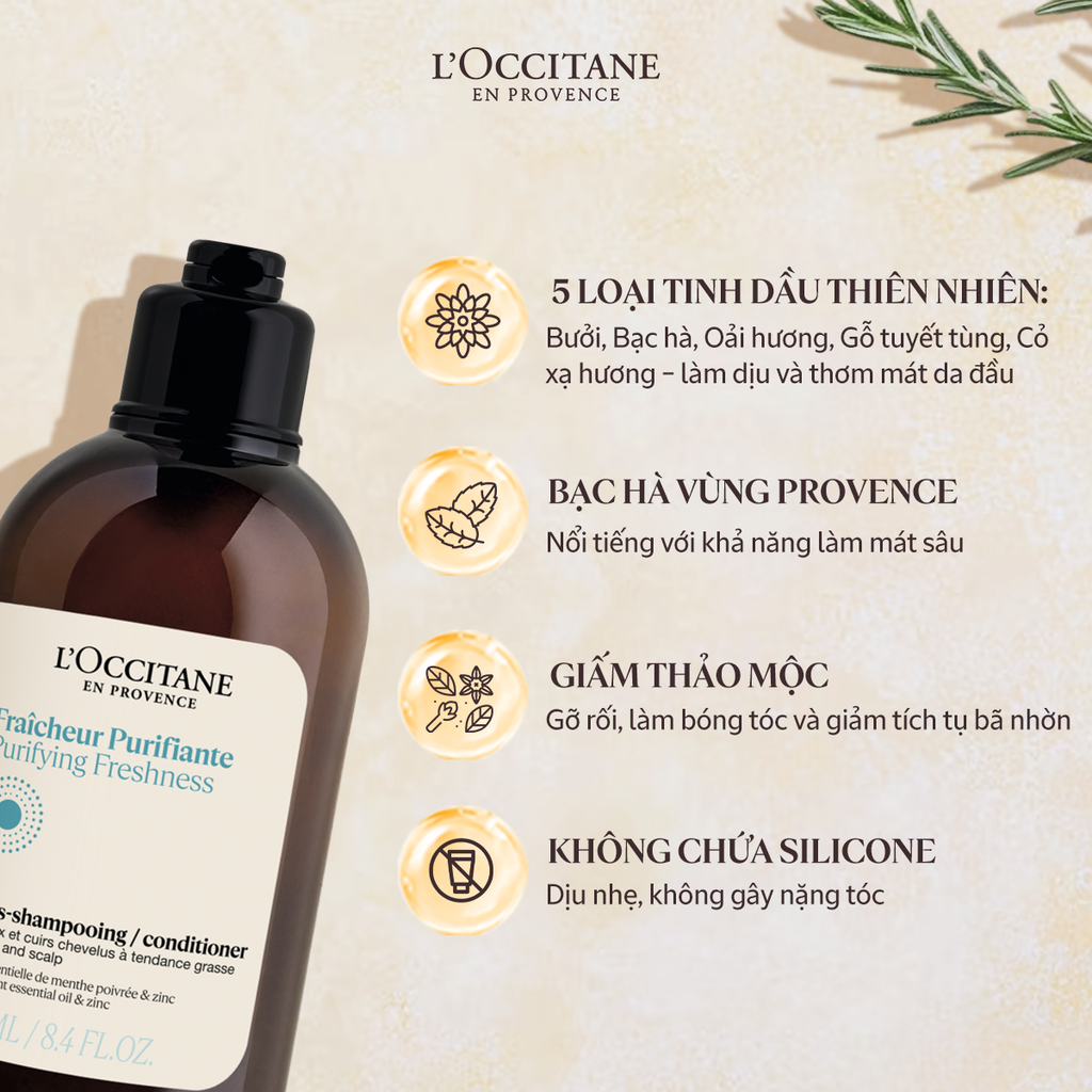 Bộ Gội Xả Thanh Lọc Dành Cho Da Đầu Dầu